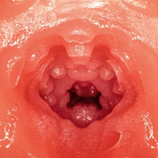 NPG AV Star Mini Masterpiece Stroker - Nao Jinguji, Japanese AV Mini Meiki, Masturbation Cup for Men - Onahole World