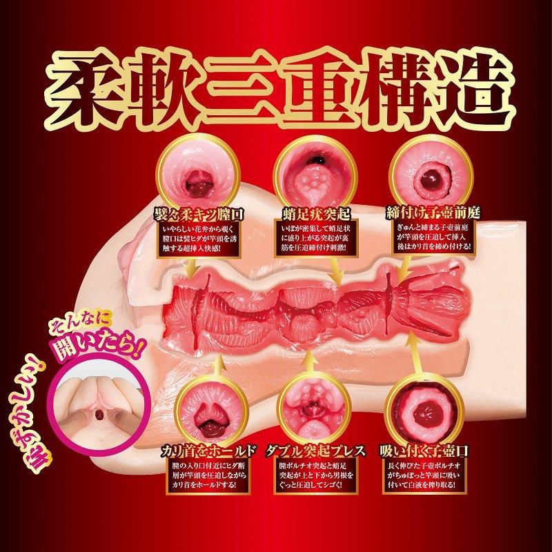 NPG Eiyo No Meiki Arina Hashimoto, Male Onahole, Masturbator Cup for Men, Japanese AV Star Stroker - Onahole World