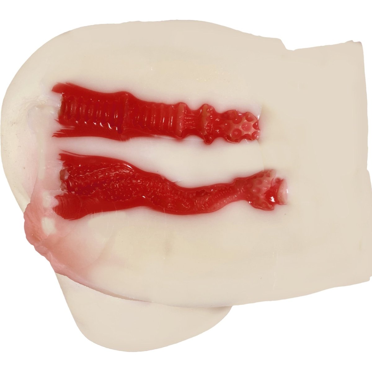 NPG Extreme Pleasure Hip Mini - Arina Hashimoto 2.8kg - Onahole World