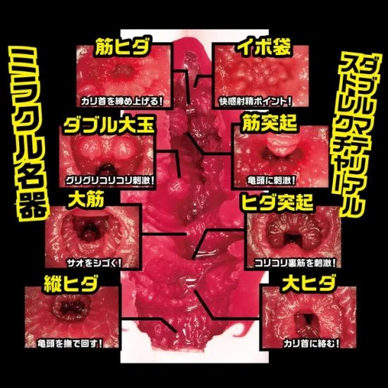 NPG Meiki No Syoumei No. 12 - Eimi Fukada, Male Onahole, Masturbator Cup for Men, Japanese AV Star Stroker, Perfect Replica of Adult Video Actress Eimi Fukada - Onahole World