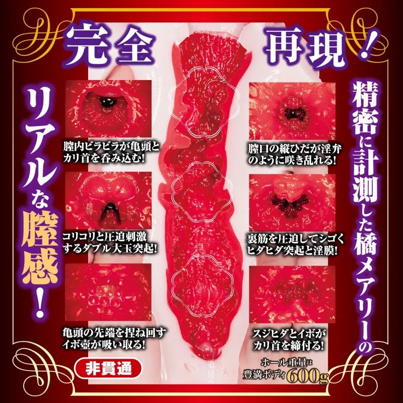 NPG New Mature JAV Star Onahole - Mary Tachibana, Masturbation Cup for Men, Japanese AV Star Stroker, Superb Recreation of the Stunning Mary, No Battery Required, Tight and Realistic Pxxxy and Vagina - Onahole World