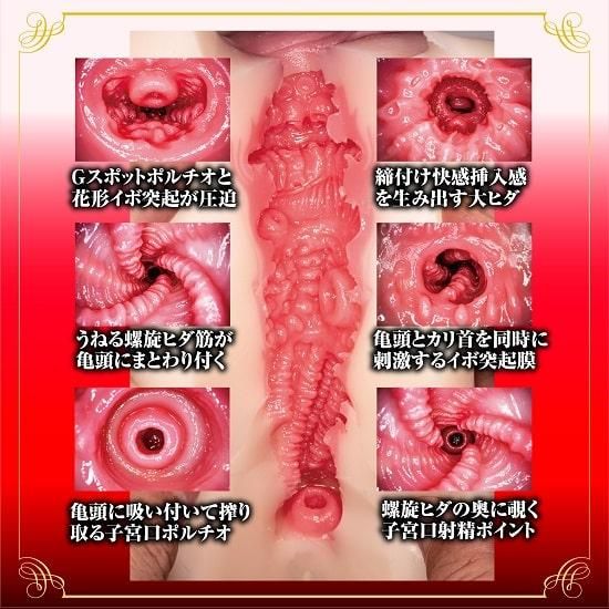 NPG New Mature JAV Star Ryo Ayumi Onahole, Masturbation Cup for Men, Japanese AV Star Stroker, Superb Recreation of the Stunning Ryo, No Battery Required, Tight and Strong Stimulation - Onahole World