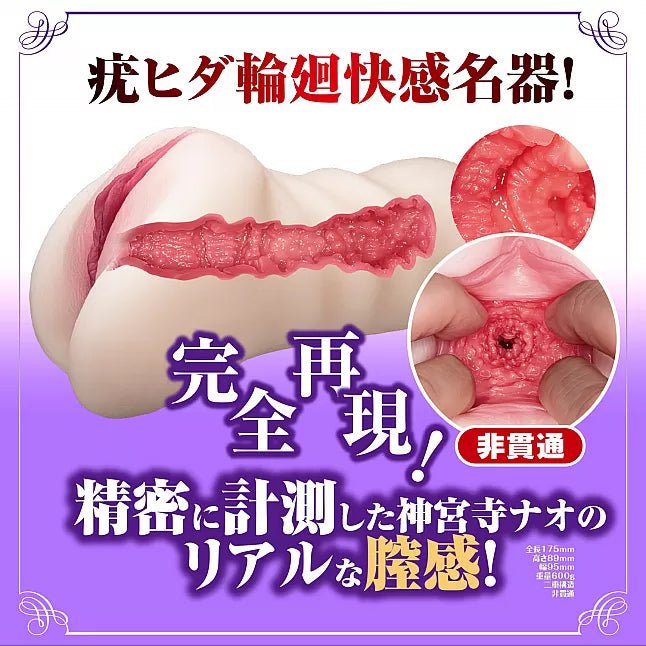 NPG New Mature Star Nao Jinguji Onahole, Masturbation Cup for Men, Japanese AV Star Stroker, Complete Replica of Nao Jinguji, Sensual Curvy MILF Stroker - Onahole World