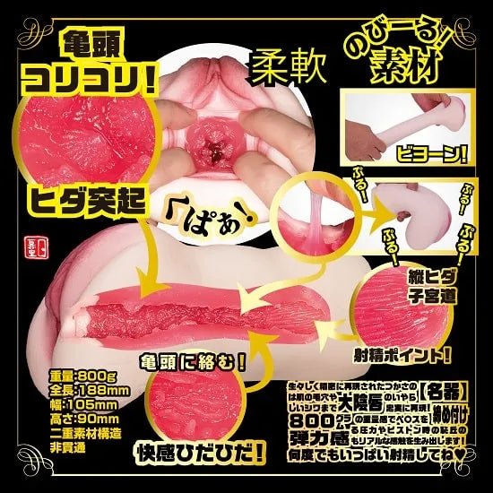 NPG New Meiki no Syoumei No.3 Tsukasa Aoi, Male Onahole, Masturbator Cup for Men, Japanese AV Star Stroker - Onahole World