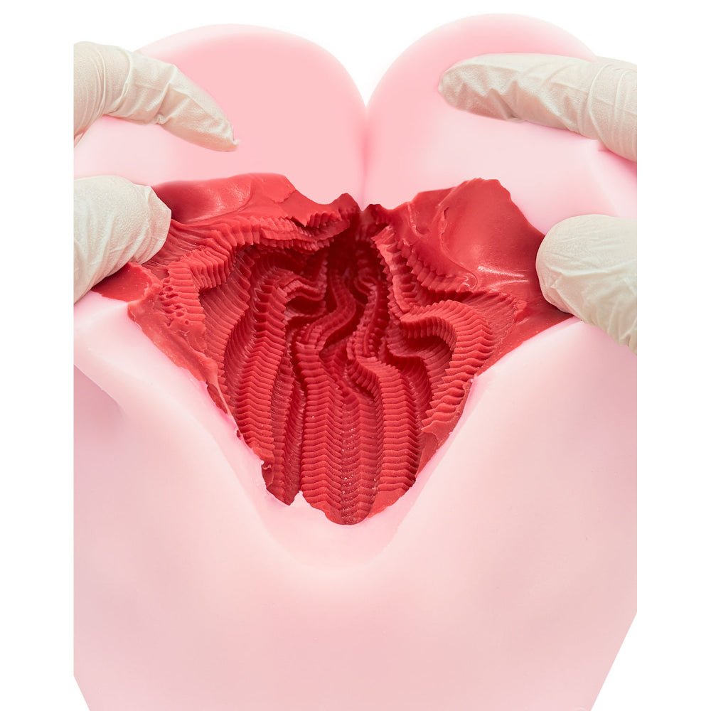 PEACH TOYS Gan Gan Press 3kg Heavyweight Floor - style Mount Onahole - Onahole World
