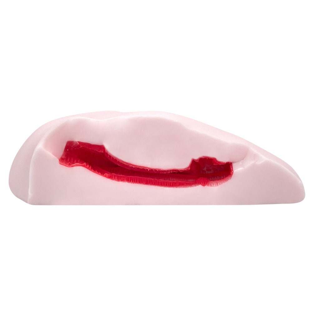 PEACH TOYS ZERO SUCCUBUS GAL Floor Onahole - 2 Options Available - Onahole World