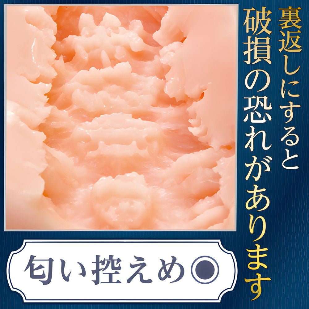 TAMATOYS AIV No.9 Onahole - Onahole World