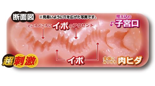 Toysheart EroAne Hard, Male Masturbator Cup, Onahole for Men - Onahole World