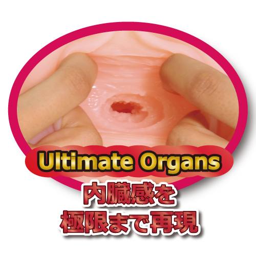 Toysheart EroAne Hard, Male Masturbator Cup, Onahole for Men - Onahole World