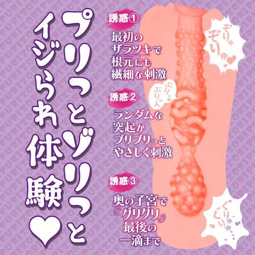 Toysheart What If Series Onahole - What If The Married Wife Next Door Seduces You?? Fantasy Stroker For Men, Japanese Anime Masturbation Cup, Pocket Sleeve Toy For Men - Onahole World