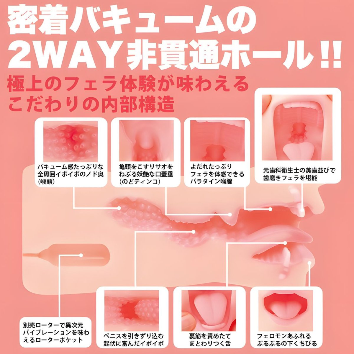 WILD ONE Kami Fera Mary Tachibana Oral Masturbator - Onahole World